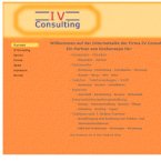 iv-consulting-fluegel