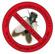 insektenschutzsysteme-halle