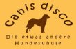 canis-disco---hundeschule-weilmuenster