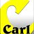 carl-gmbh-co-kg