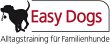 easy-dogs---hundetraining-nuernberg