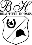 beautiful-horses