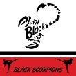 kickboxen-black-scorpons-mannheim