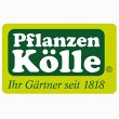 pflanzen-koelle-gartencenter-gmbh-co-kg-berlin---borgsdorf