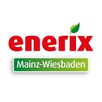 enerix-mainz-wiesbaden---photovoltaik-stromspeicher