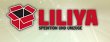 liliya-willmer-int-spedition-und-umzuege