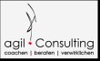 agil-consulting