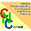 cn-consult-it-beratungs--und-dienstleistungs-gmbh