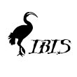 ibis-interkulturelle-arbeitsstelle-e-v