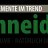 elemente-im-trend---schneider-erwin