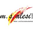 msalesi-gmbh