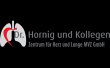 hornig-dr-kollegen