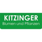 kitzinger-blumen-und-pflanzen
