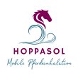 hoppasol-mobile-pferdeinhalation