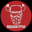 bullock-style-bullock-custom-bikes