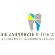 die-zahnaerzte-rheingau---dr-reuter-grossehelleforth-kollegen