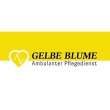 gelbe-blume-cis-ug