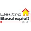 elektro-bauchspiess-gmbh