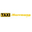 markus-herrmann-taxi