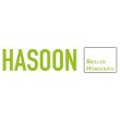 hasoon-optic-design-hoersysteme