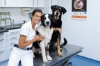 tierarztpraxis-dr-yasmin-diepenbruck