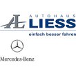 autohaus-liess-gmbh-co-kg