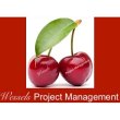 wessels-project-management-uwe-wessels