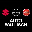 auto-wallisch