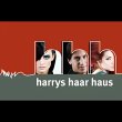 harrys-haar-haus-fried-fried-gbr