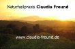naturheilpraxis-claudia-freund