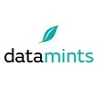 datamints-gmbh