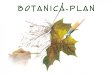 botanica-plan