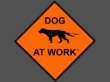 dog-at-work---zughundesport