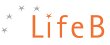 lifeb-coaching