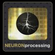 neuronprocessing