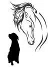 pferde--hundeosteopathie--physiotherapie