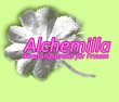 alchemilla-praxis-psychologische-beratung-und-gesundheitspraevention-fuer-frauen