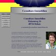 consultare-immobilien