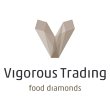 vigorous-trading-gmbh