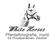 white-horses-pferdefotografie