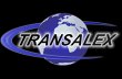 transalex-internationale-spedition