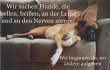 mobile-hundeschule-pforzheim-das-original-seit-2005