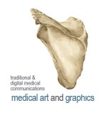 medical-art-and-graphics