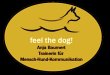 feel-the-dog---anja-baumert---training-fuer-mensch-hund-kommunikation