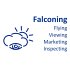 falconing-andreas-schroeter