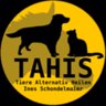 tahis---tierphysiotherapie-fuer-hunde-in-chemnitz