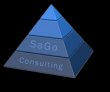 sago-consulting