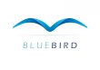 bluebird-consulting
