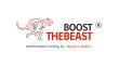 boost-the-beast-r-training