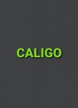 agentur-caligo